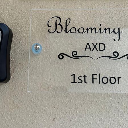 Апартаменты Blooming 31 Axd Александроуполис Экстерьер фото
